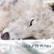 Wolf's Rain