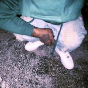 Purrple Haze 2 (Bootleg)