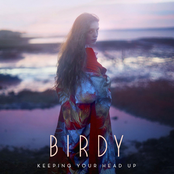 Keeping Your Head Up cover