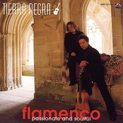 Fiesta Flamenca by Tierra Negra