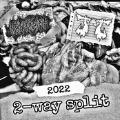 2-way Split