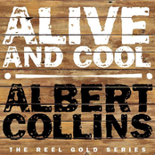 Deep Freeze by Albert Collins