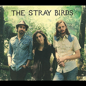 The Stray Birds