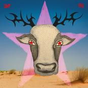 Your Mother’s Name