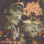 The Veil of Death Closed In