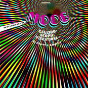 Kaleidoscopic Vibrations: Spotlight on the Moog