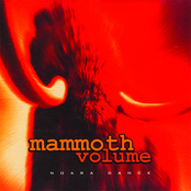 Seeds In Rocky Places by Mammoth Volume