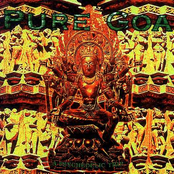 Pure Goa: A Psychedelic Trip