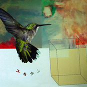 Yucatan (Japanese Edition)