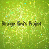 The Strange Kiwi's Project