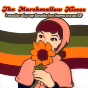 The Best Days We Used To Have by The Marshmallow Kisses