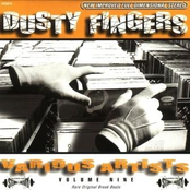 Dusty Fingers Volume Nine