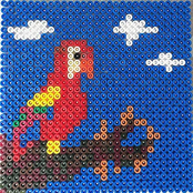 Leben auf dem land - Single