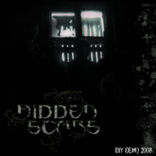 Hidden Scars: DIY Demo 2008
