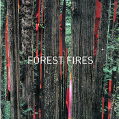 Forest Fires EP