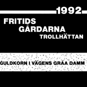 Guldkorn i vägens gråa damm - Fritidsgårdarna i Trollhättan 1992