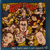 NOW! That's what I call dogshite #2