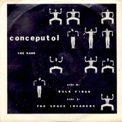 Bulk Fiber / The Space Invaders