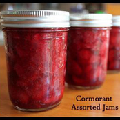 Assorted Jams: Vol 1