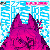 [HLV-006] FEEL-LINE for disc jockeys SPECIAL