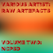 [btr079] various artist: raw artefacts. volume two: NCPSD