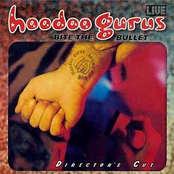 Doctor Rock by Hoodoo Gurus
