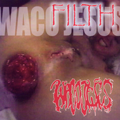 Animosity by Waco Jesus