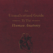 An Unauthorized Guide to the Human Anatomy