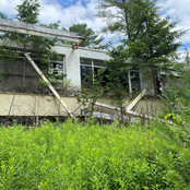 flyingfish: wonder if you care