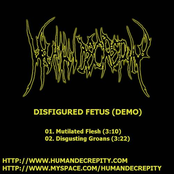 Mutilated Flesh by Human Decrepity