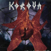 A Kiss in the Charnel Fields (remixed)