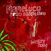 Mameluco Afro Brasileiro