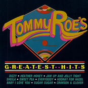 It's Now Winter's Day by Tommy Roe