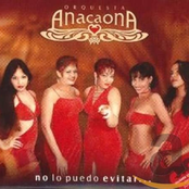 No Lo Puedo Evitar