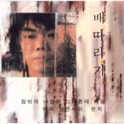 배따라기