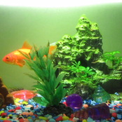 A Shitty Gay Song About You