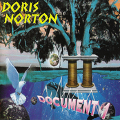 Insects by Doris Norton