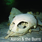 Aaron & The Burrs