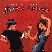 Putumayo Presents: Nuevo Latino