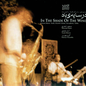 In the Shade of the Wind