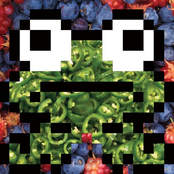 Toadally Krossed Out