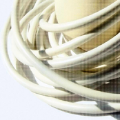 The Electric Institute