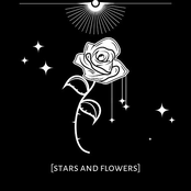 Stars and Flowers