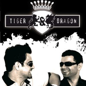 tiger & dragon