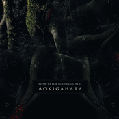 Aokigahara