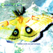 Neither Moth nor Rust Corrupts