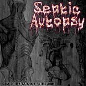 orgy of illnesses in a putrid body