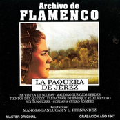 Archivo de Flamenco, Vol. 4 (La Paquera de Jerez)