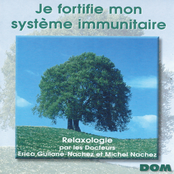 Relaxologie : Je fortifie mon système immunitaire