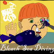 Bleach Sea Diving
